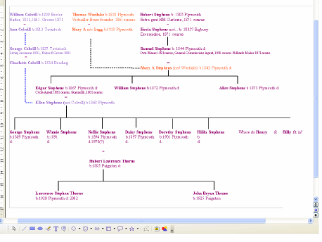 Click to enlarge: Stephens, Colwill and Westlakes family tree.